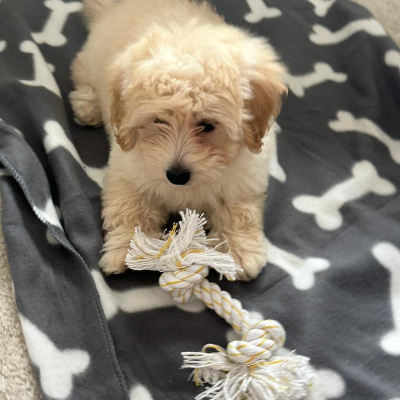 6a7d5dbb-bebc-4950-8a78-4241960a433b